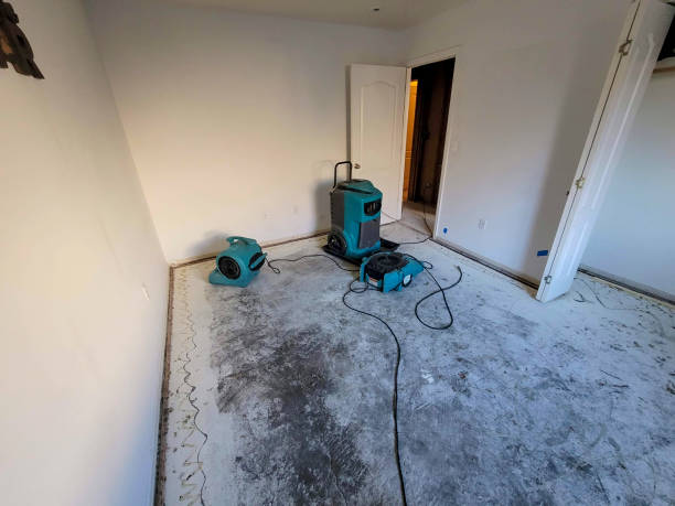Best Water damage restoration near me  in Taft Mosswood, CA