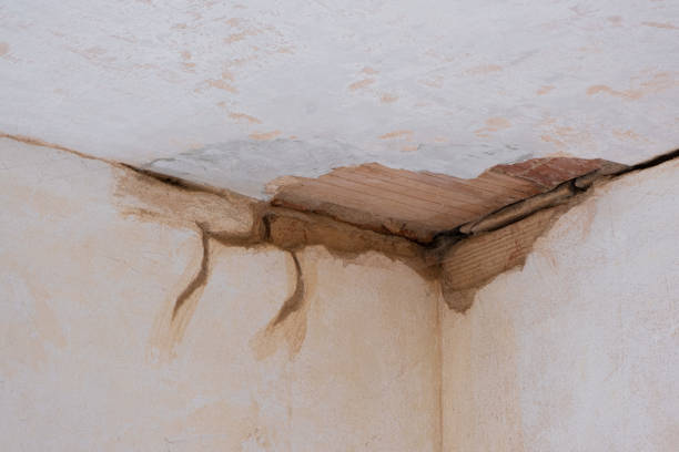 Best 24-hour water damage restoration  in Taft Mosswood, CA
