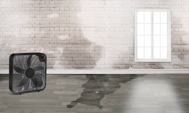 Best Water damage restoration near me  in Taft Mosswood, CA