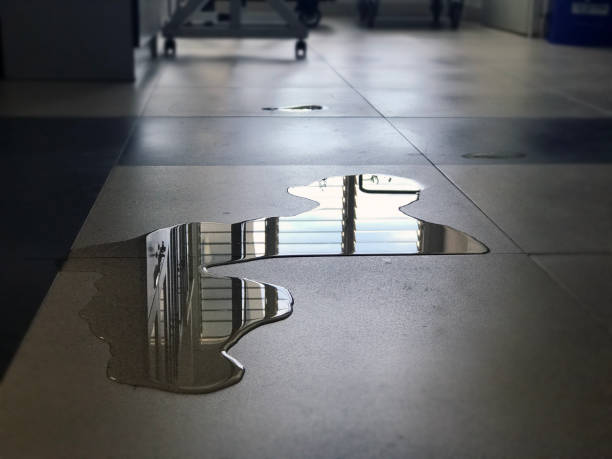Best Water damage restoration insurance claims  in Taft Mosswood, CA