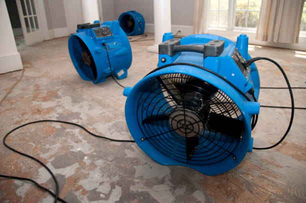 Best Flooded house restoration  in Taft Mosswood, CA