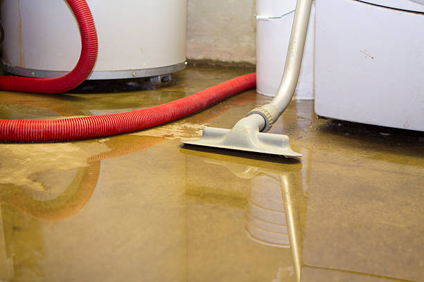 Best Professional water damage repair  in Taft Mosswood, CA