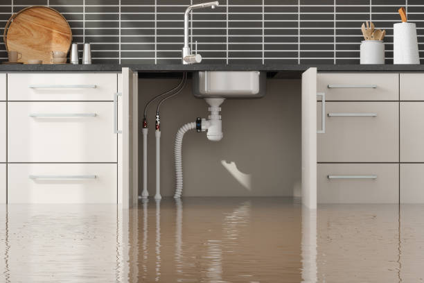 Best Fire Damage Restoration  in Taft Mosswood, CA