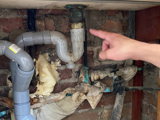 Best Water damage contractors near me  in Taft Mosswood, CA